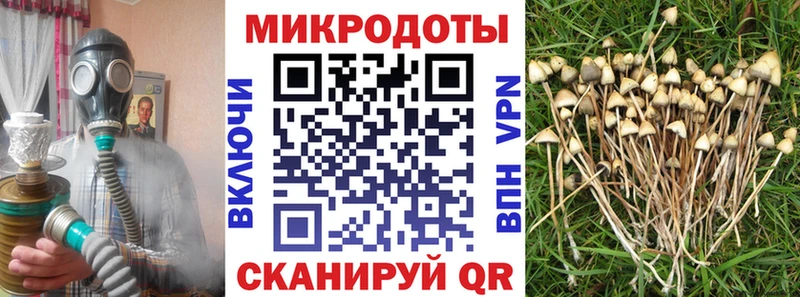 Псилоцибиновые грибы MAGIC MUSHROOMS  Рошаль 